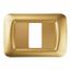 TOP SYSTEM PLATE - IN TECHNOPOLYMER GLOSS FINISH - 1 GANG - ANTIQUE GOLD - SYSTEM thumbnail 2