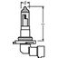 9006CBI 51W 12V P22D 10X2BOX       OSRAM thumbnail 2