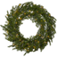 Wreath Thuja thumbnail 2