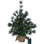 Decorative Tree Furu thumbnail 1