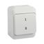 Artic - switch - 2-pole - 16 A - 250 V - white thumbnail 3