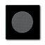 AudioWorld, Inserts for flush-mounted devices, Loudspeaker insert, anthracite thumbnail 113