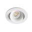 ARGON ADJUSTABLE WHITE RECESSED LAMP GU10 43401 thumbnail 1